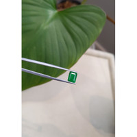 1.51 Ct. Emerald from Brazil Life Style