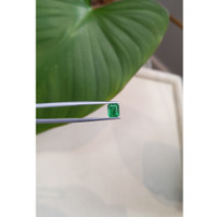 1.20 Ct. Emerald from Brazil Life Style