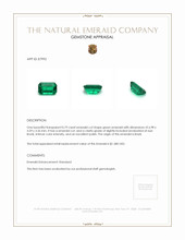 0.79 Ct. Emerald from Brazil Appraisal