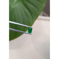 0.79 Ct. Emerald from Brazil Life Style
