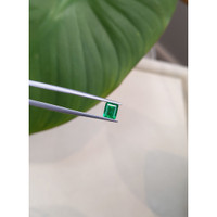 0.72 Ct. Emerald from Brazil Life Style