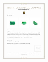 1.09 Ct. Emerald from Brazil Appraisal