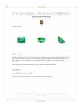 1.09 Ct. Emerald from Brazil Appraisal