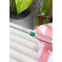 0.90 Ct. Emerald from Brazil Life Style