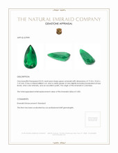 8.22 Ct. Emerald from Colombia Appraisal