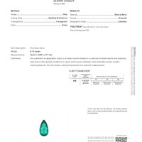 8.13 Ct. Emerald from Colombia Pdf