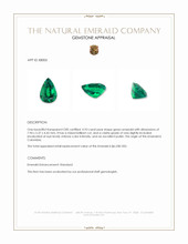 0.93 Ct. Emerald from Colombia Appraisal