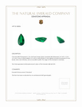 1.26 Ct. Emerald from Colombia Appraisal