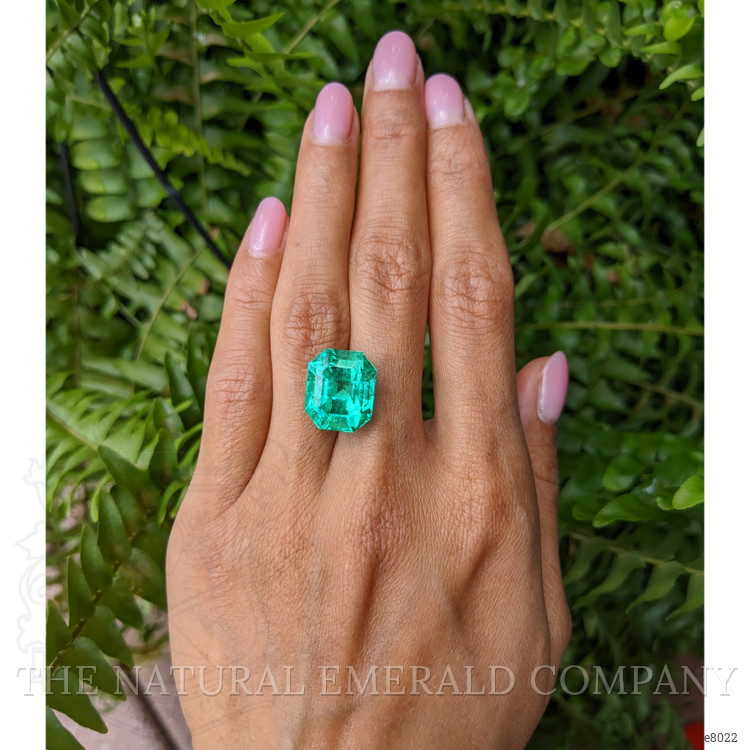 13.42 Ct. Emerald from Colombia