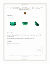 14.07 Ct. Emerald from Zambia Appraisal