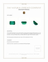 14.07 Ct. Emerald from Zambia Appraisal
