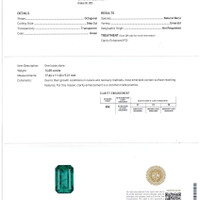 14.07 Ct. Emerald from Zambia Scan Report