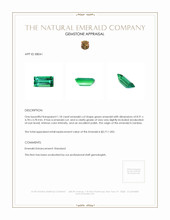 1.18 Ct. Emerald from Zambia Appraisal
