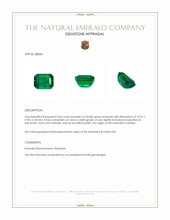 4.06 Ct. Emerald from Zambia Appraisal