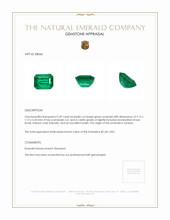 2.49 Ct. Emerald from Zambia Appraisal