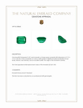 2.49 Ct. Emerald from Zambia Appraisal