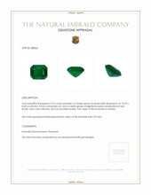 3.76 Ct. Emerald from Zambia Appraisal