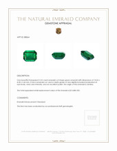 3.55 Ct. Emerald from Zambia Appraisal