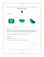3.22 Ct. Emerald from Zambia Appraisal