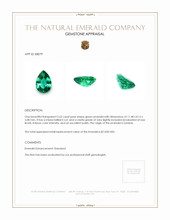 2.62 Ct. Emerald from Zambia Appraisal