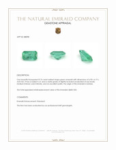 0.76 Ct. Emerald from Zambia Appraisal