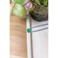 1.00 Ct. Emerald from Zambia Life Style