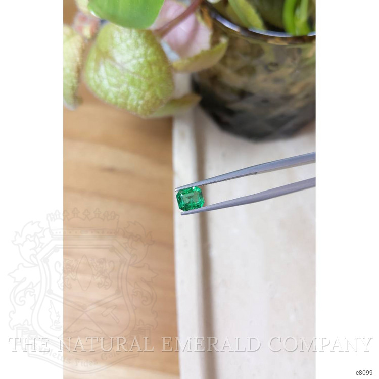 1.00 Ct. Emerald from Zambia