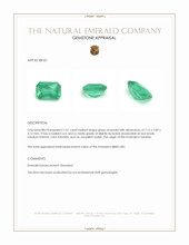 1.01 Ct. Emerald from Zambia Appraisal