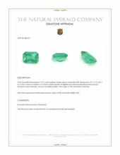 1.01 Ct. Emerald from Zambia Appraisal