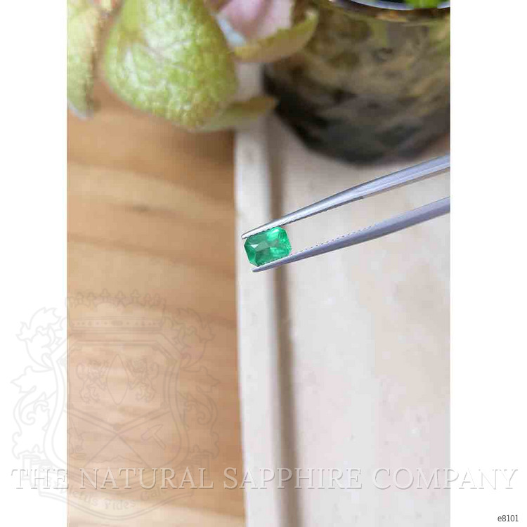 1.01 Ct. Emerald from Zambia