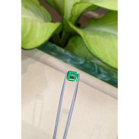 2.76 Ct. Emerald from Zambia Life Style