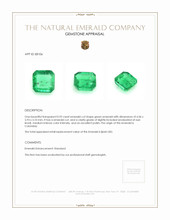 0.92 Ct. Emerald from Colombia Appraisal