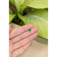 0.92 Ct. Emerald from Colombia Life Style
