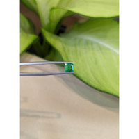 0.92 Ct. Emerald from Colombia Life Style