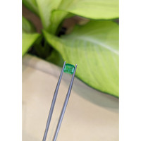 0.60 Ct. Emerald from Zambia Life Style
