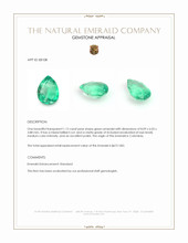 1.12 Ct. Emerald from Colombia Appraisal