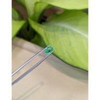 1.12 Ct. Emerald from Colombia Life Style