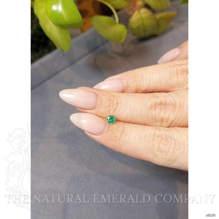 0.31 Ct. Emerald from Zambia