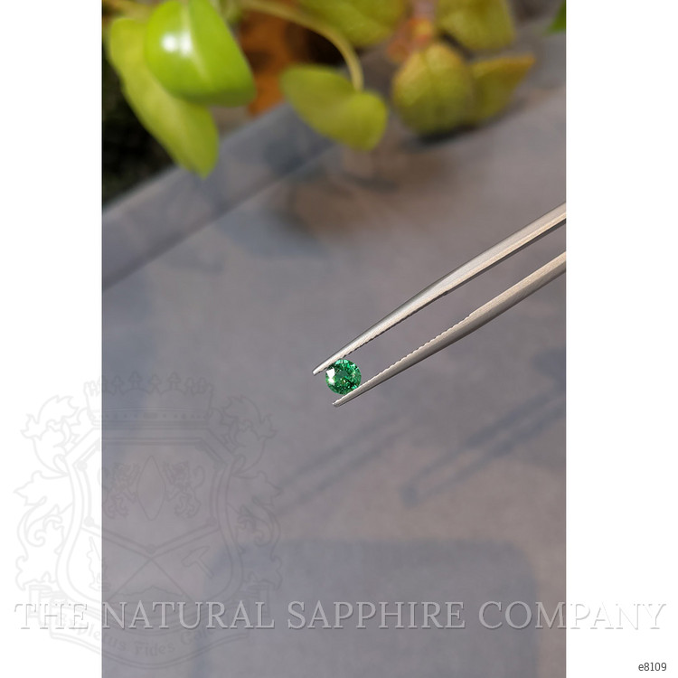 0.31 Ct. Emerald from Zambia