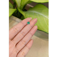0.70 Ct. Emerald from Zambia Life Style