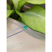 1.23 Ct. Emerald from Zambia Life Style