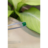 1.75 Ct. Emerald from Zambia Life Style