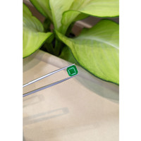 3.73 Ct. Emerald from Afghanistan Life Style