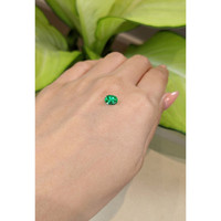 0.74 Ct. Emerald from Colombia Life Style