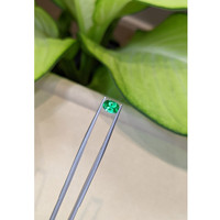 0.74 Ct. Emerald from Colombia Life Style