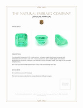 0.92 Ct. Emerald from Afghanistan Appraisal