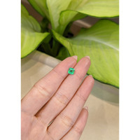 0.92 Ct. Emerald from Afghanistan Life Style