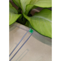 1.68 Ct. Emerald from Colombia Life Style