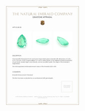 0.43 Ct. Emerald from Afghanistan Appraisal