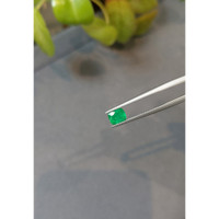 0.66 Ct. Emerald from Afghanistan Life Style
